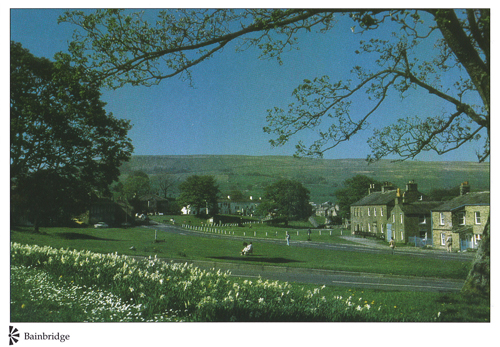 Bainbridge postcards